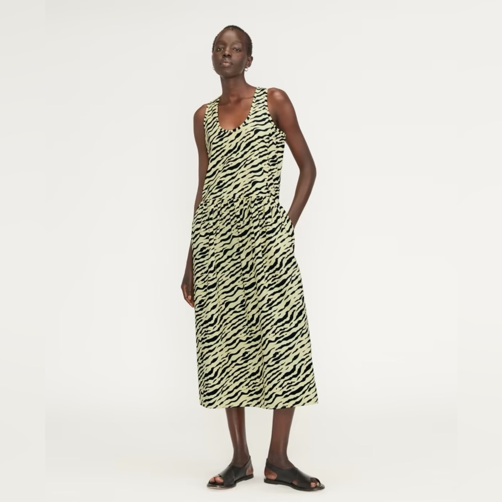 Everlane The Poplin Summer Dress (New)